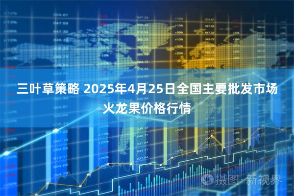 三叶草策略 2025年4月25日全国主要批发市场火龙果价格行情