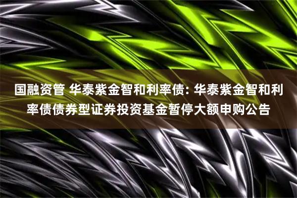 国融资管 华泰紫金智和利率债: 华泰紫金智和利率债债券型证券投资基金暂停大额申购公告
