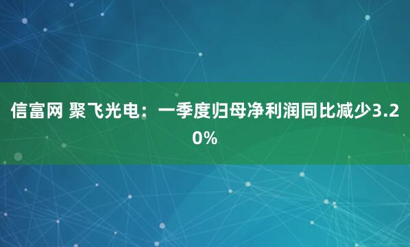 信富网 聚飞光电：一季度归母净利润同比减少3.20%
