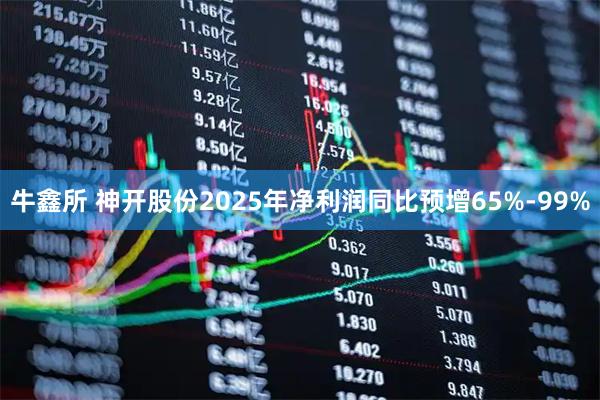 牛鑫所 神开股份2025年净利润同比预增65%-99%
