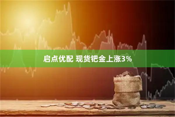 启点优配 现货钯金上涨3%